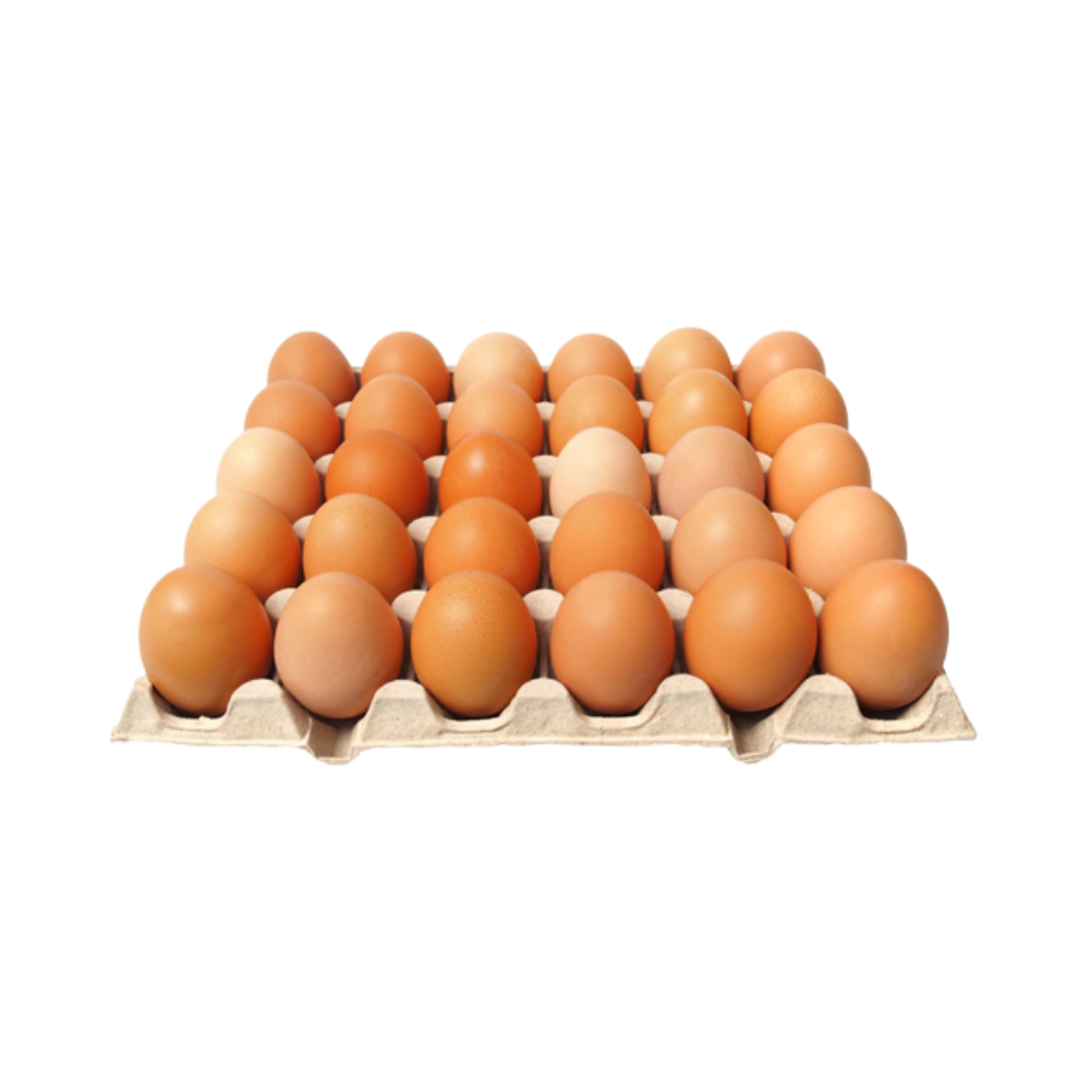 Product Fresh Eggs White / Brown Grade A Class M 53-63 g Image