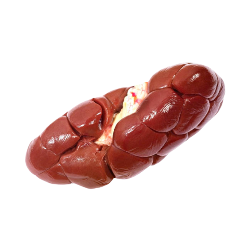 Product Beef Kidneys Blockfrozen Halal Image