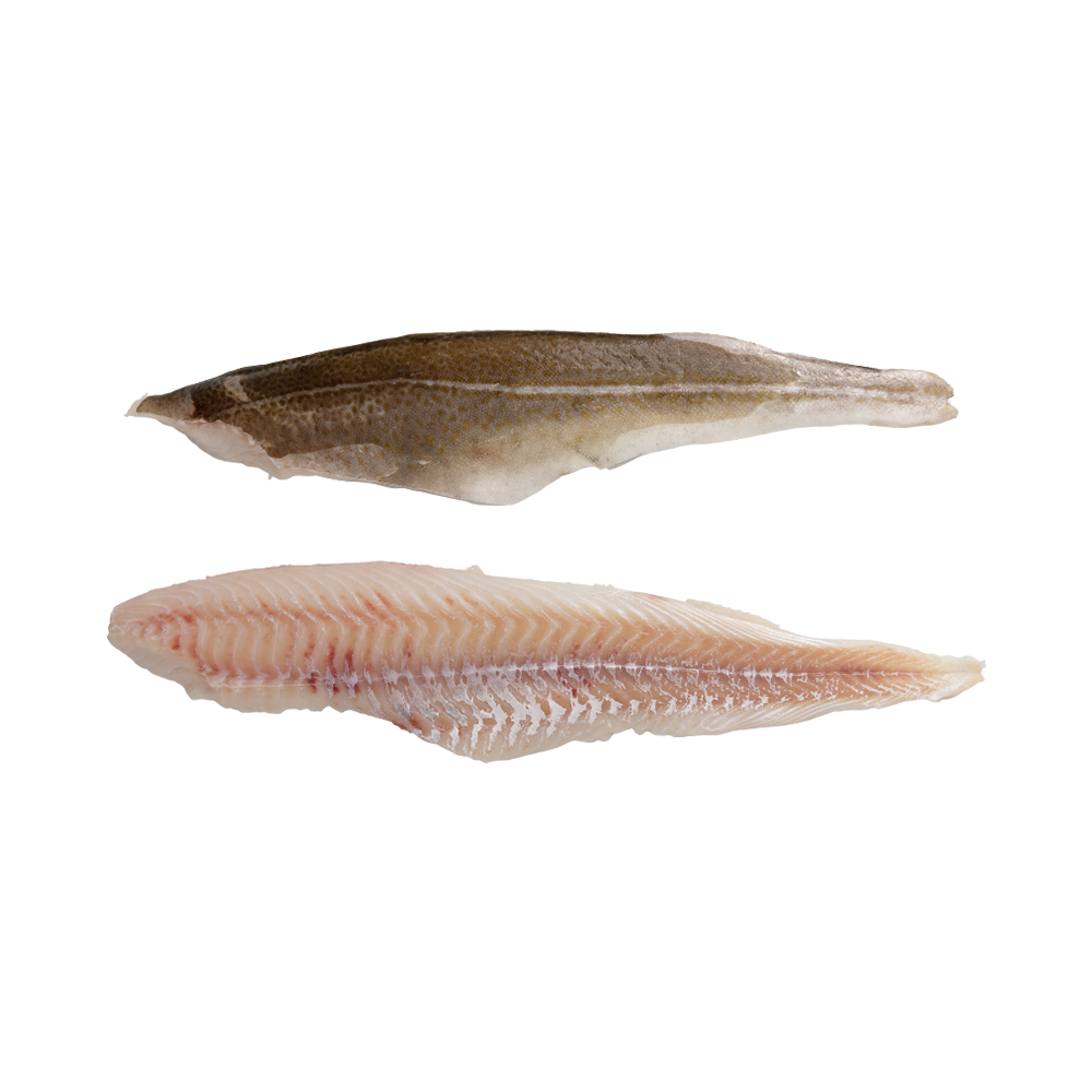 Product Pacific Cod Fillet 16-32 oz. (450-910 gr.) 80% NW Skin On Pinbone In MSC  Image