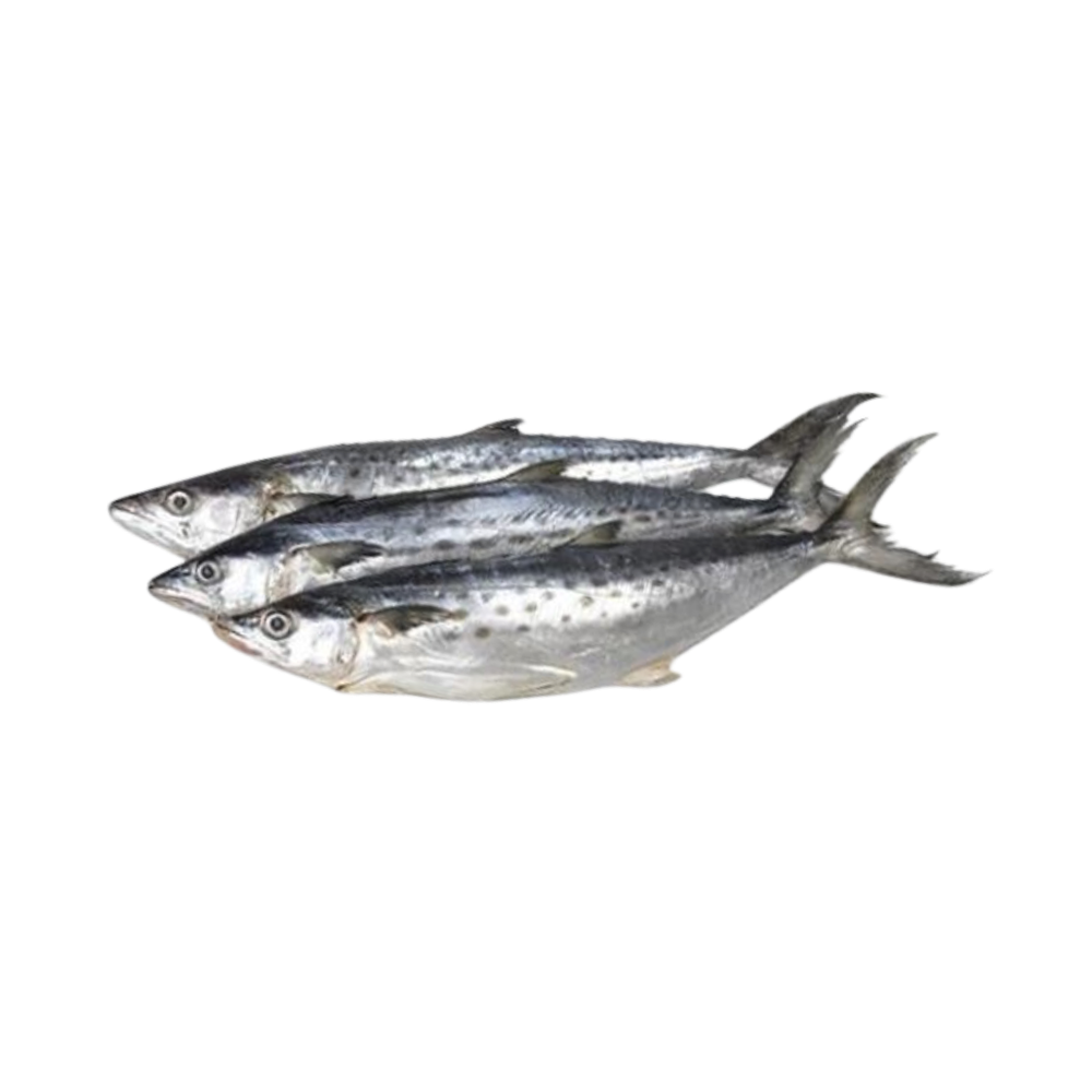 Product King Fish 400-900 gr. 100% NW Whole Gutted IQF  Image