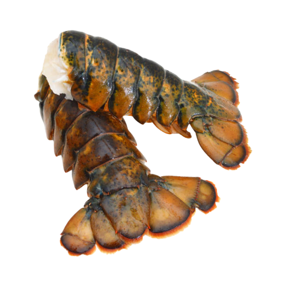 Product Lobster Tail Cold Water 4-5 oz Image
