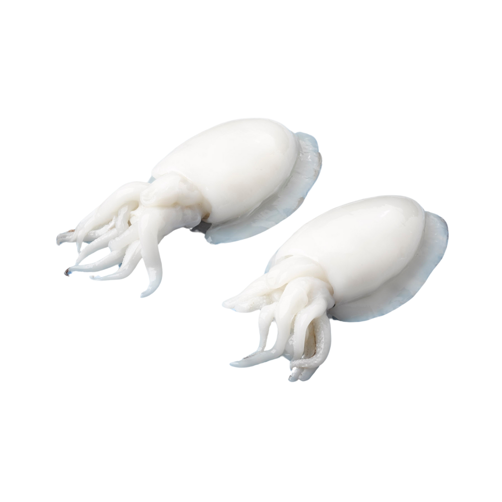 Product Cuttlefish 100-300 g 95% NW Whole Block Frozen Image