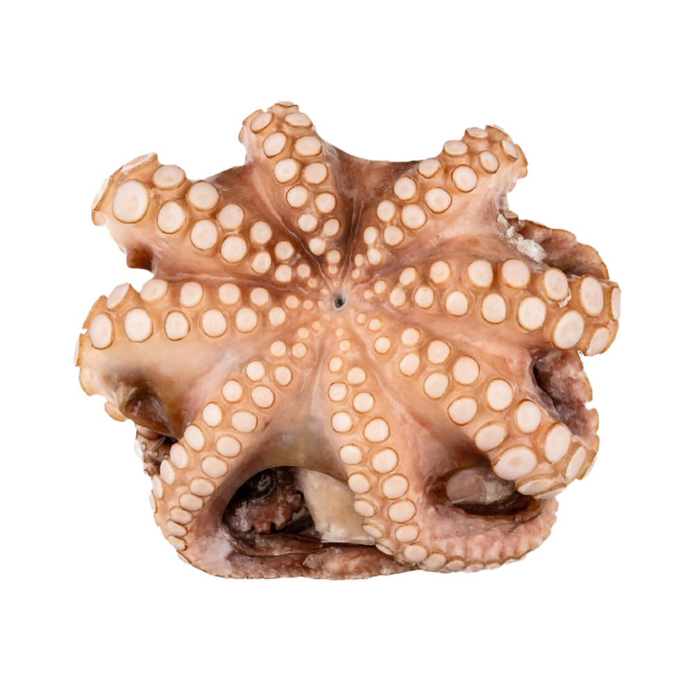 Product Octopus 100-300 g 90% NW Flower Shape Cleaned IQF Image