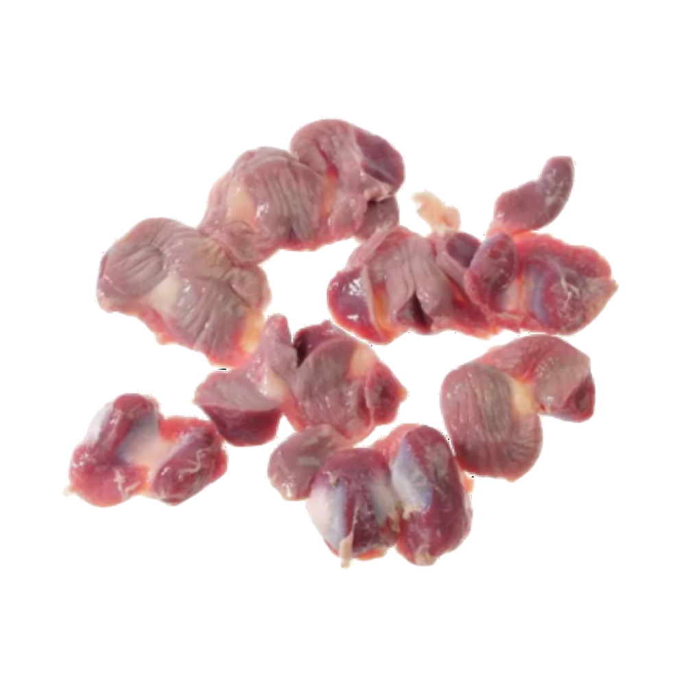 Product Chicken Gizzards Halal  Block Frozen 10kg  Image