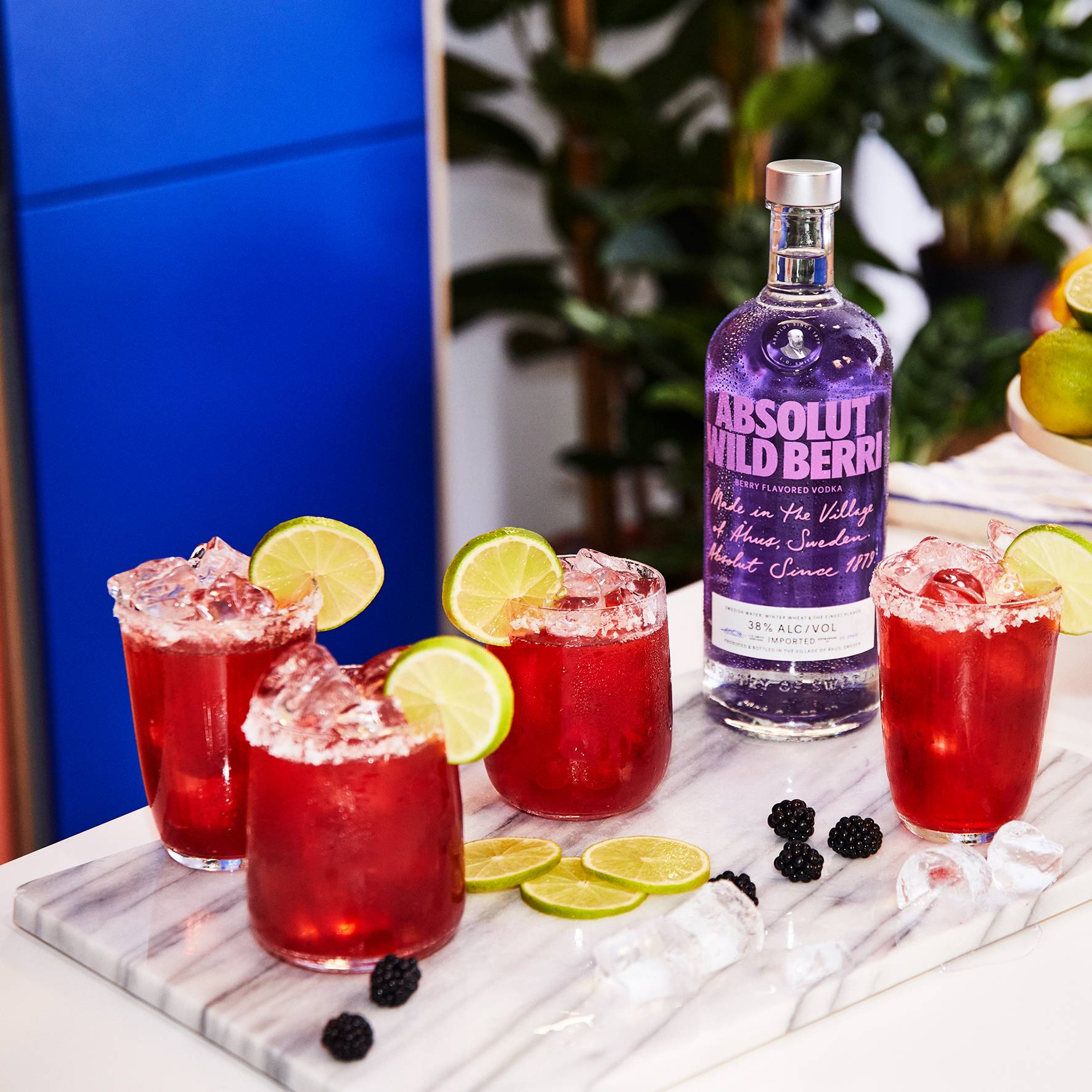 Absolut Vodka Wild Berri 1L
